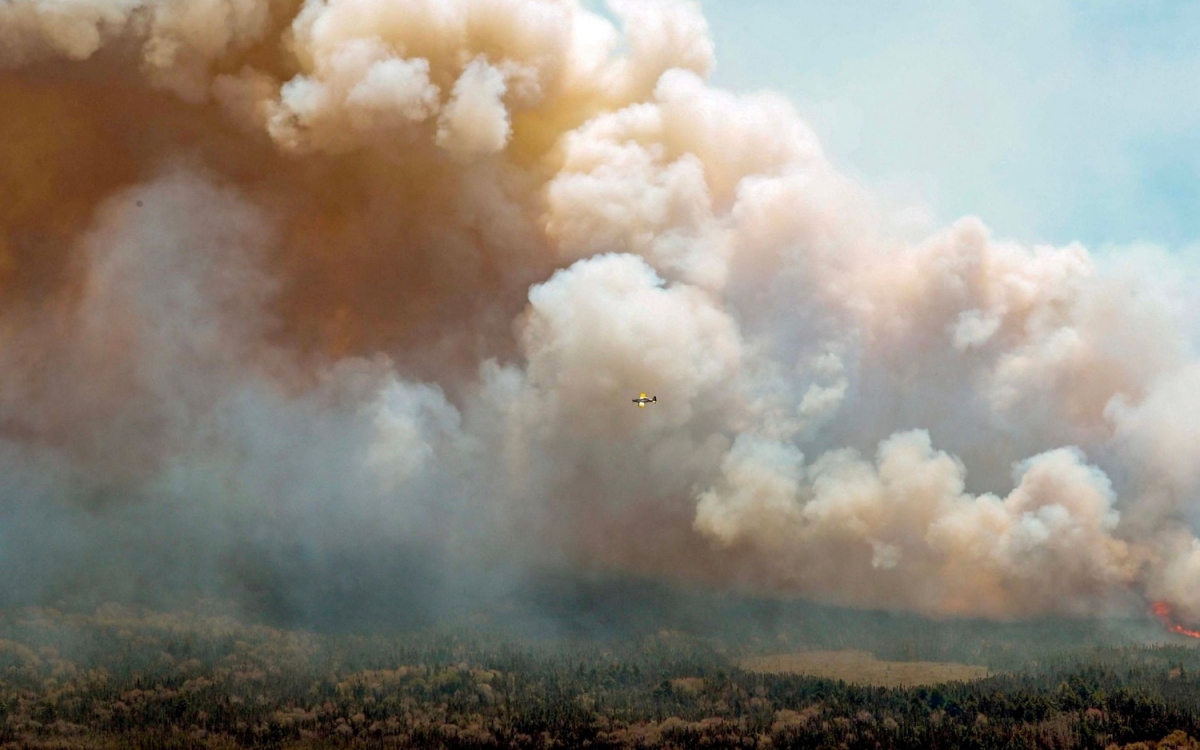 Cháy rừng ở Chile khiến 123 người thiệt mạng